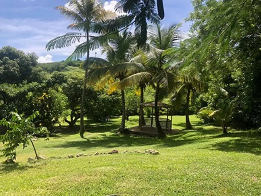 La Sucrerie, Magnifique Villa Avec Piscine Sainte-Anne Martinica